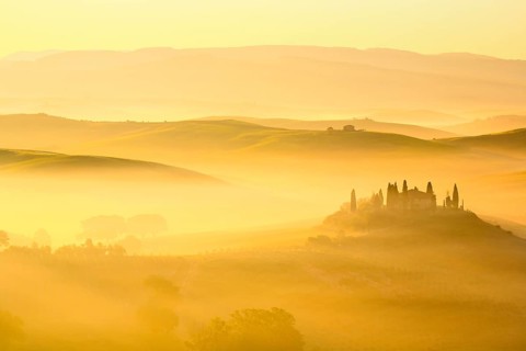Hilly landscape with cornfields and cypresses