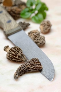 Dried morels