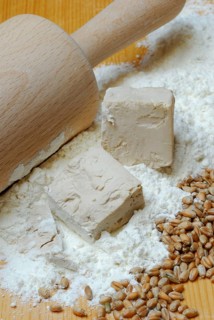 Baker's yeast