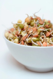 Mixed sprouts of lentils