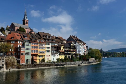 Rhine