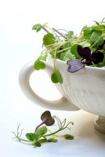 Microgreen