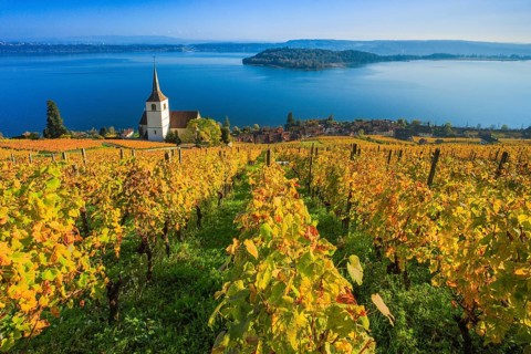 Ligerz on Lake Biel