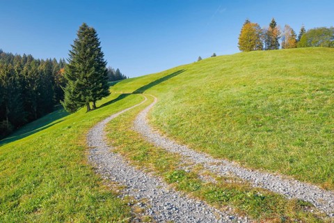Field path on the Ratenpass