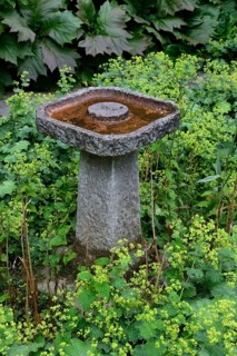 Stone bird bath in garden