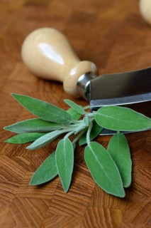 Sage leaves