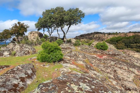 Typical landscape in Sierra de Andujar National Park