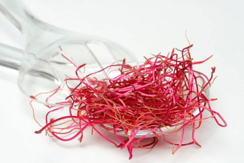 Beetroot sprouts