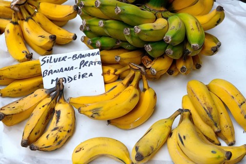 Fruit sales in the market hall of Funchal