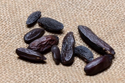 Tonka beans