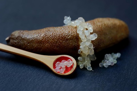 Australian finger lime