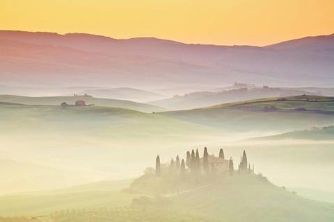 Hilly landscape with cornfields and cypresses