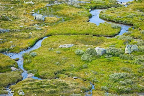 Watercourse at the Grimsel Pass