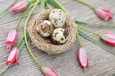 Natural Easter Decoration