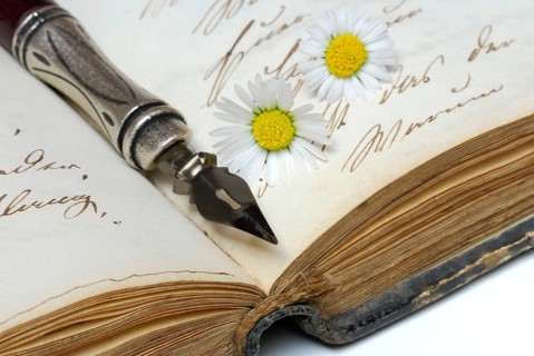 Pen with nib on book