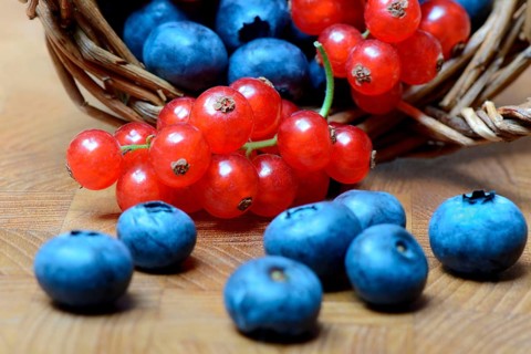 Currants and blueberries in basket