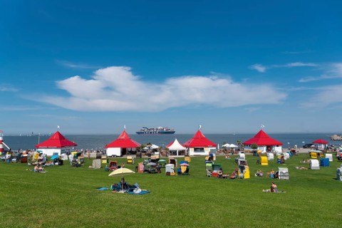 Green beach with beach chairs