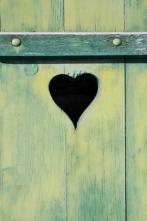 Shutter detail