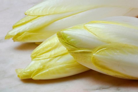 Chicory