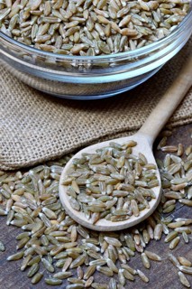 Unripe spelt grain