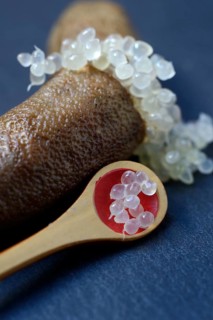 Australian finger lime