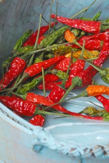 Peppers