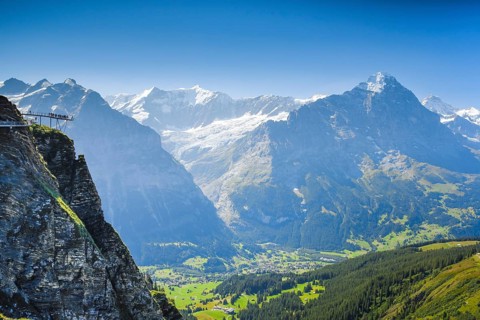 Schreckhorn