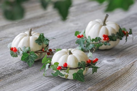 Autumnal decoration