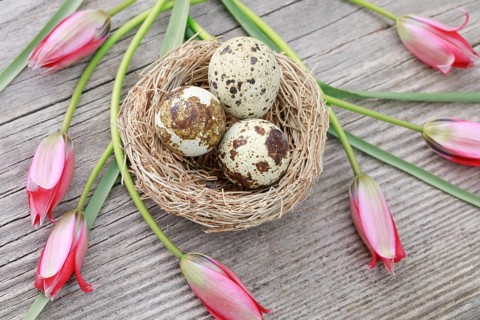 Natural Easter Decoration