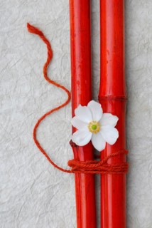 Chinese Anemone