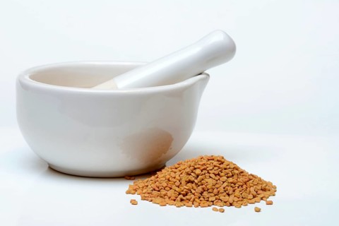 Fenugreek