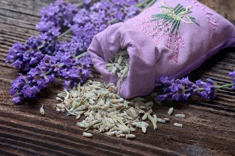 Lavender