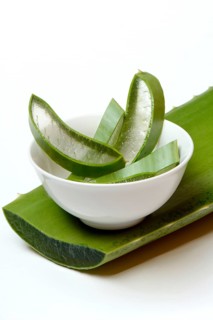 Leaf slices of the