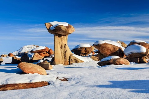 Bisti Badlands