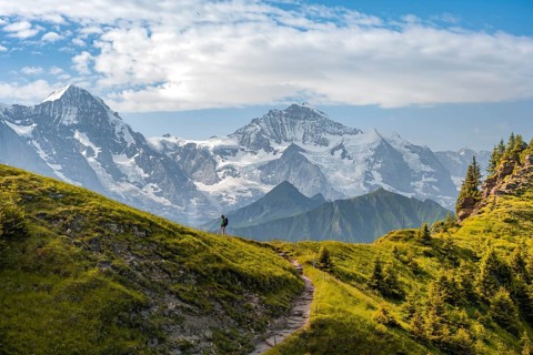Hiker on hiking trail