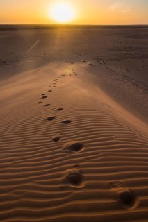Footsteps in a sand dune at sunset