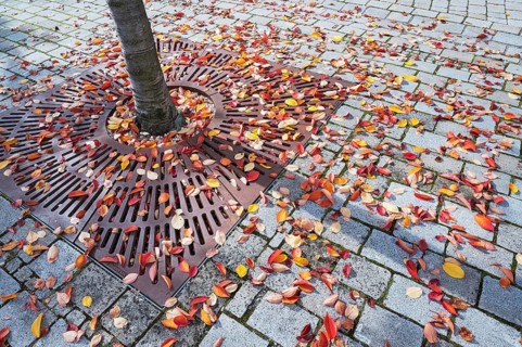 Grating for tree protection with autumn leaves