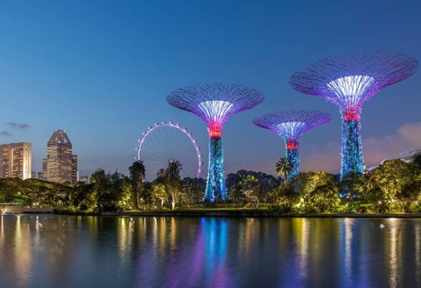 Supertrees at night
