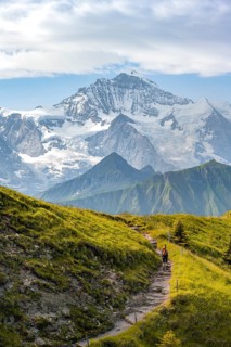 Hikers on hiking trail