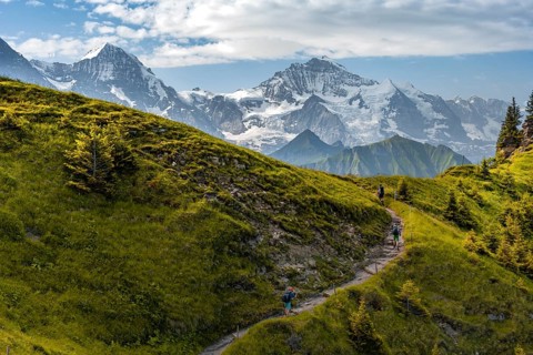 Hiker on hiking trail