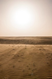 Backlit sand drifts