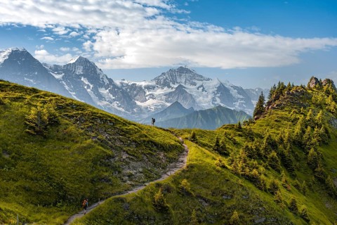 Hiker on hiking trail