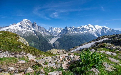 Hiker on hiking trail