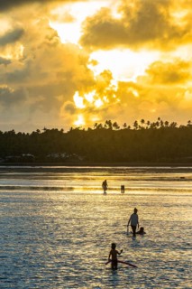 Locals local for snails at sunset in the lagoon of Wallis