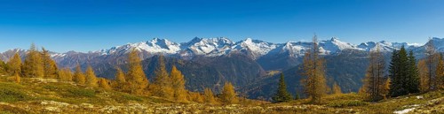 Autumn larch meadows