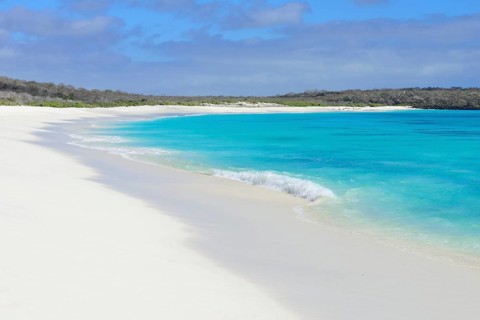 Snow white sandy beach
