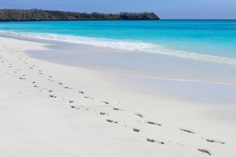 Footprints on white sand beach