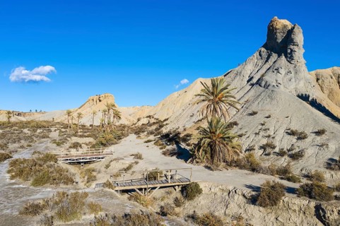 Bare ridges of eroded sandstone and palm trees in the Tabernas Desert