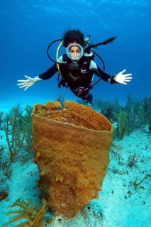 Diver looking at Giant Barrel Sponge