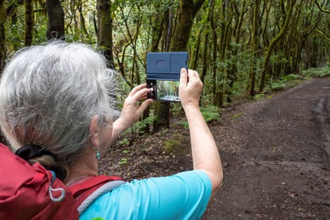 Woman taking pictures with mobile phone on forest path in laurel forest
